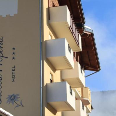 Hotel Stella Alpina 3